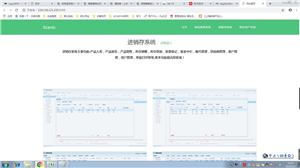 饰品分销系统 screenshot 3